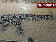Конструктор Спирин доказал возможность стрельбы из замороженного автомата