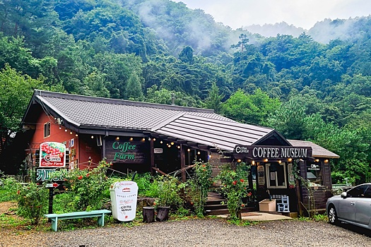 Первый музей кофе в Корее. Или как русские познакомили с кофе корейского короля