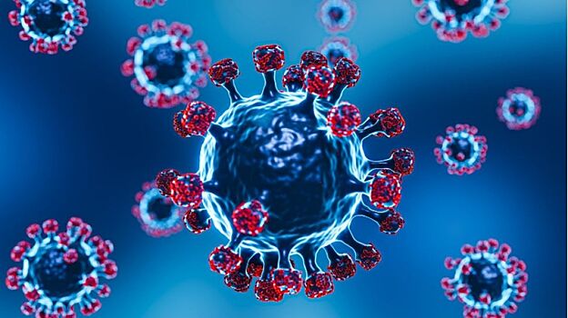 Ученые установили подлинные пути передачи коранавирусной инфекции