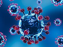 Ученые установили подлинные пути передачи коранавирусной инфекции