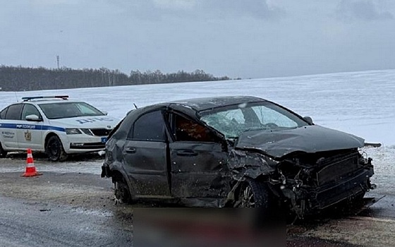 Пять человек оказались в больнице после ДТП в Скопинском районе