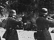 Die Welt (Германия): «В конце концов каждый должен получить кусок от Польши»