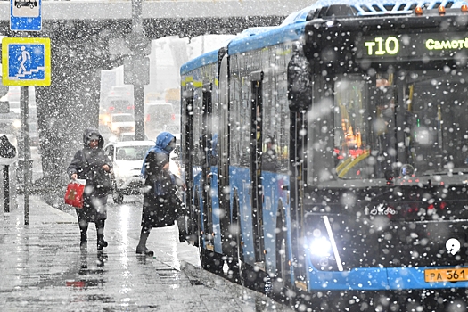 Москвичам пообещали первую оттепель в году