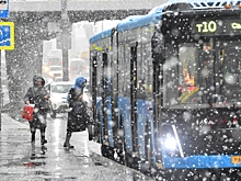 Москвичам пообещали первую оттепель в году