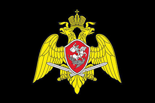 Суд запретил паблики﻿, использующие в своем названии символику Росгвардии