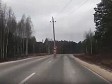 Владимир Сипягин потребовал уволить гендиректора ДСУ-3 за столбы на дороге