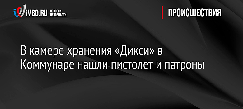 В камере хранения «Дикси» в Коммунаре нашли пистолет и патроны