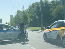 Московские полицейские остановили автодвижение ради переходящих дорогу утят
