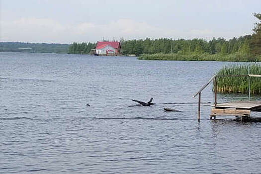 В ХМАО пенсионер попал под винт моторной лодки