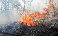 В ДФО признали не готовыми к пожароопасному сезону три региона