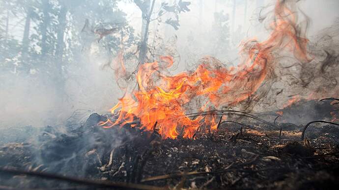 В ДФО признали не готовыми к пожароопасному сезону три региона