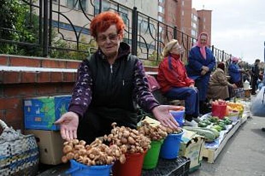 Улица - двигатель торговли. Что делать со стихийными рынками в городах