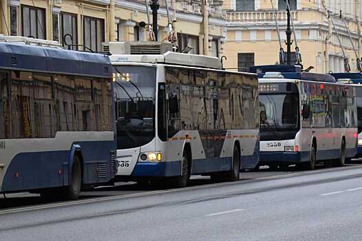 В Воронеже из-за ремонта канализации приостановили движение троллейбуса