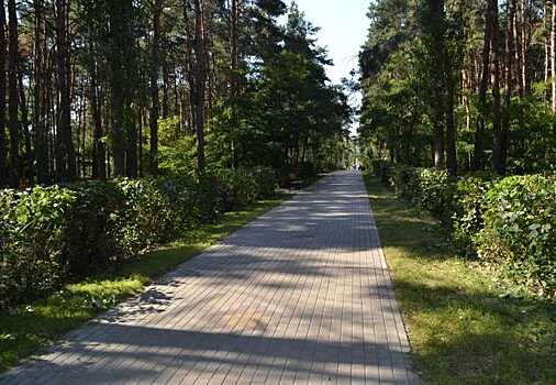 В Новосибирске появится новый парк «Чемской берег»