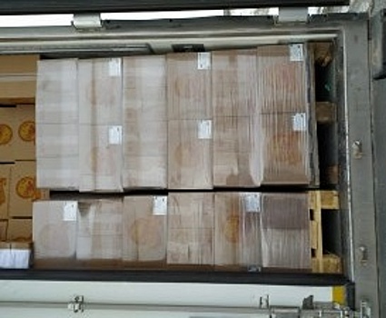 В Оренбуржье пытались провезти более 8 тонн мороженого без документов