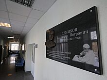 Барельеф в честь Владимира Демихова открыли в Текстильщиках