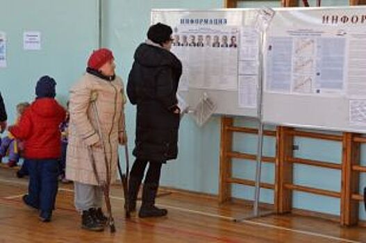 Делегация ОБСЕ изучает ход выборов в Алтайском крае