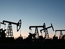 Венесуэла выступила за продление сделки по сокращению нефтедобычи