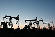 Венесуэла выступила за продление сделки по сокращению нефтедобычи