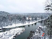 Жители самарского села спасают 30 замерзающих лебедей