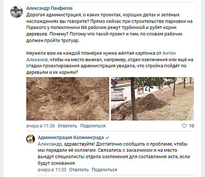 Возле поликлиники на Горького дорожники изрезали корни молодых лип, чиновники пообещали проверить аллею