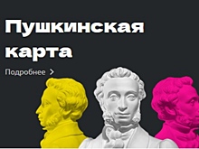 Новосибирские мошенники обманули государство почти на 30 млн рублей на махинациях с Пушкинскими картами