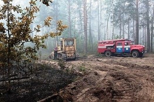 За минувшие сутки в лесном фонде на территории Иркутской области ликвидировано семь пожаров