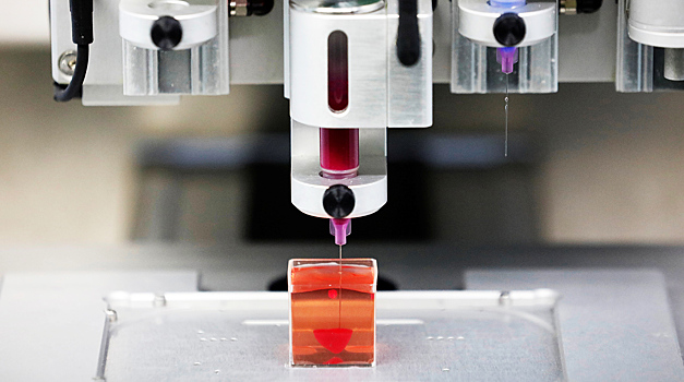 Разработаны биочернила с растительными клетками для 3D-печати
