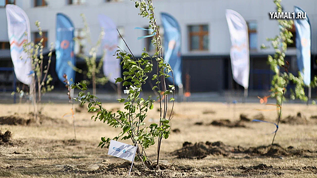Новые аллеи высадили в Ноябрьске в завершающий день слета молодых специалистов «Газпром нефти». ВИДЕО