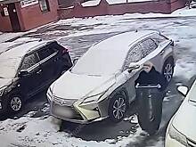 Раскрыты детали задержания внучки бывшего мэра Самары Тархова