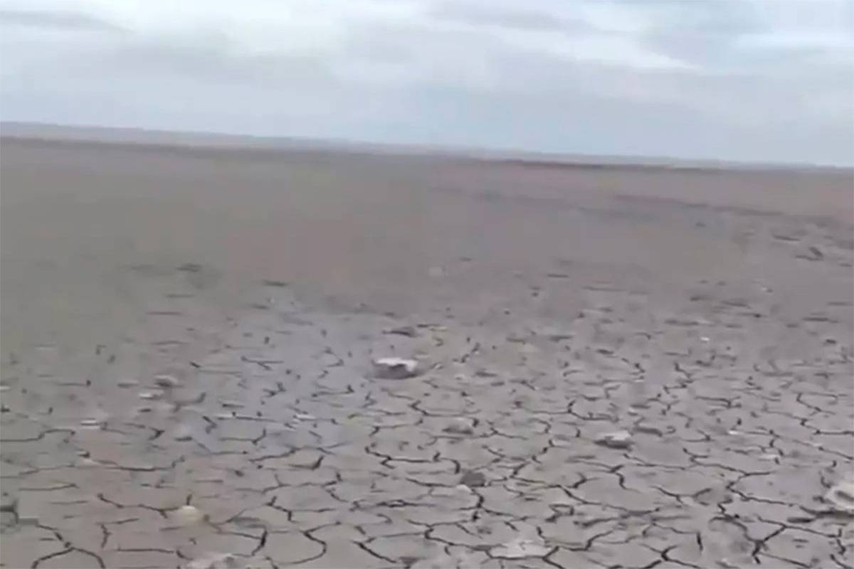 Залив в российском регионе превратился в пустыню