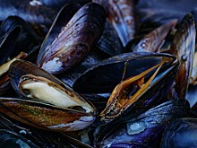 В Приморье начнут выпуск косметики из локальных морепродуктов