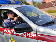 В иркутских троллейбусах начали устанавливать тревожные кнопки