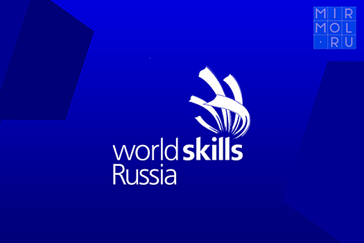 Представители WorldSkills Russia проведут аудит дагестанских колледжей