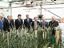 Президент России высоко оценил качество селекции Краснодарского края