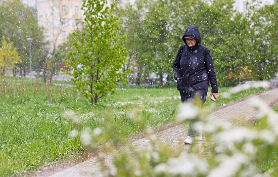 Синоптик Леус: заморозки в европейской части России взяли паузу
