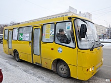 До 2020 года лучше не станет: в Мичуринском отменили остановку единственной маршрутки