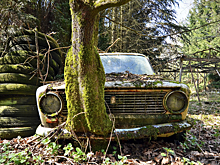 Перспективы электромобильных войн США и остального мира