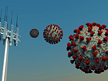 Нейрокошмарные художества, или Фольга против COVID-19
