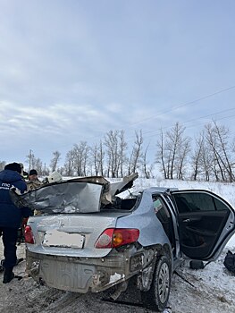 В Оренбуржье произошло смертельное ДТП