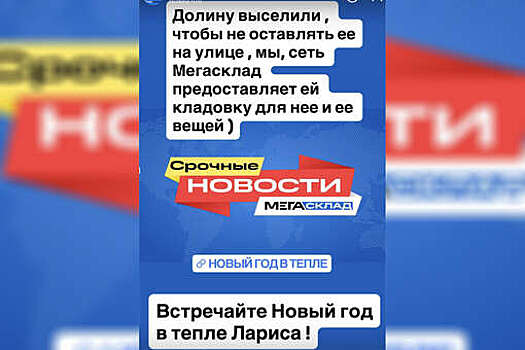 Российская компания бесплатно предоставит в аренду кладовые для певицы Долиной