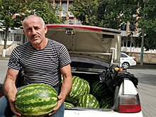 Крупный урожай: житель села в Южной Осетии собрал 30 тонн арбузов и дыни