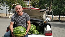 Крупный урожай: житель села в Южной Осетии собрал 30 тонн арбузов и дыни