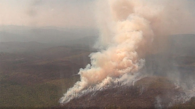 Генпрокуратура выявила намеренные поджоги лесов в Иркутской области