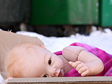 Тело оставленного на морозе младенца обглодали собаки: подробности жуткого убийства в Удмуртии