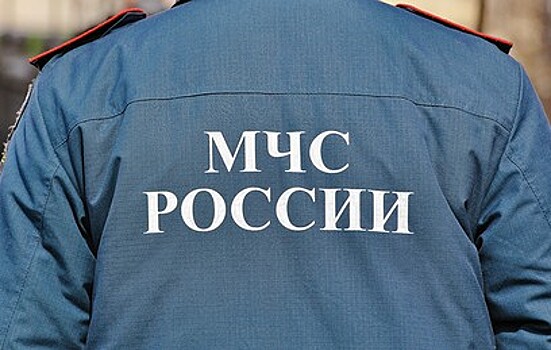В Сети появилось видео с потерявшимся в лесу мальчиком