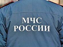 В Сети появилось видео с потерявшимся в лесу мальчиком