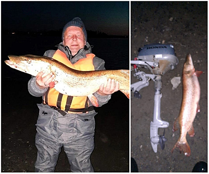 Челябинский рыбак поймал щуку размером с лодочный мотор