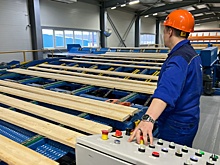 "Экспортную" древесину направят на внутренний рынок