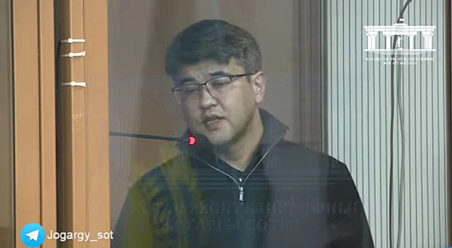 «Почему видео с этими Бишимбаевым форсят, а российских не показывают»: Илья Соболев о деле Салтанат Нукеновой